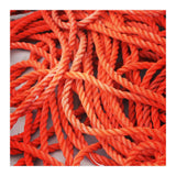 Orange ropes (Print Only) thumbnail