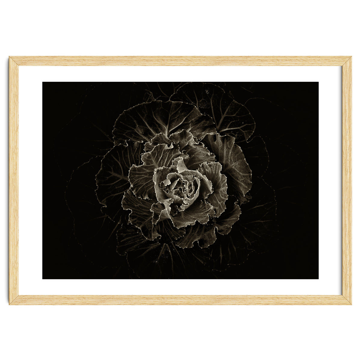 Backyard Flowers No 100 Sepia Version