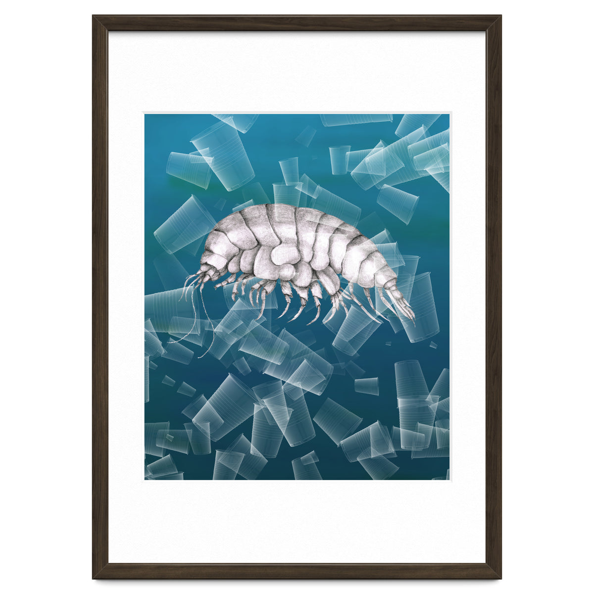 Eurythenes Plasticus