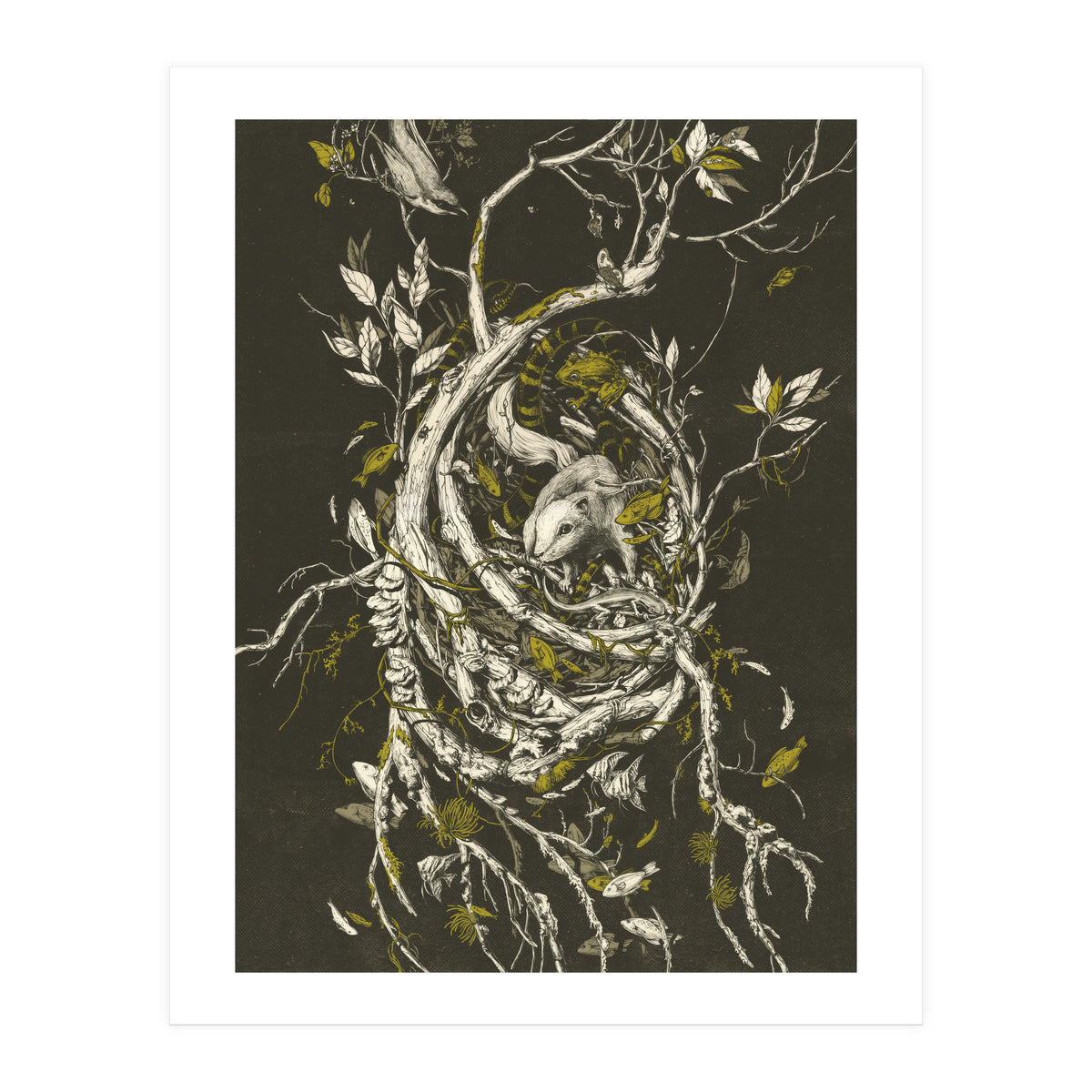 The Mangrove Tree (Print Only)