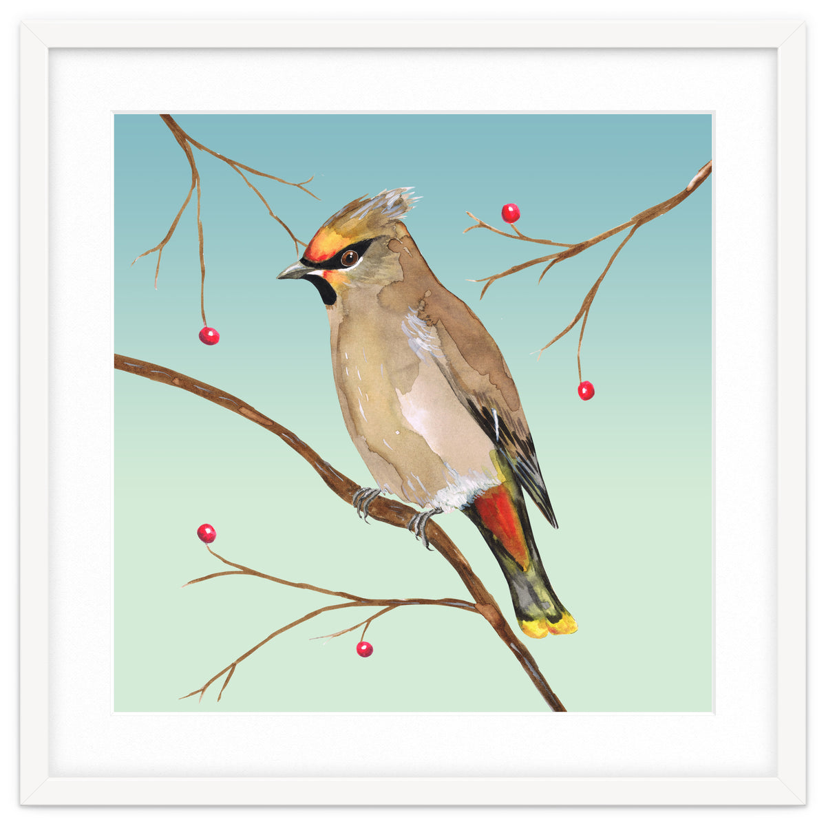Bohemian waxwing