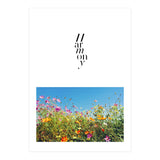 Harmony - cosmos flower - nature photography  (Print Only) thumbnail
