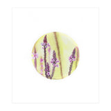 Circular Verbena (Print Only) thumbnail