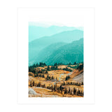 Delight Ii (Print Only) thumbnail