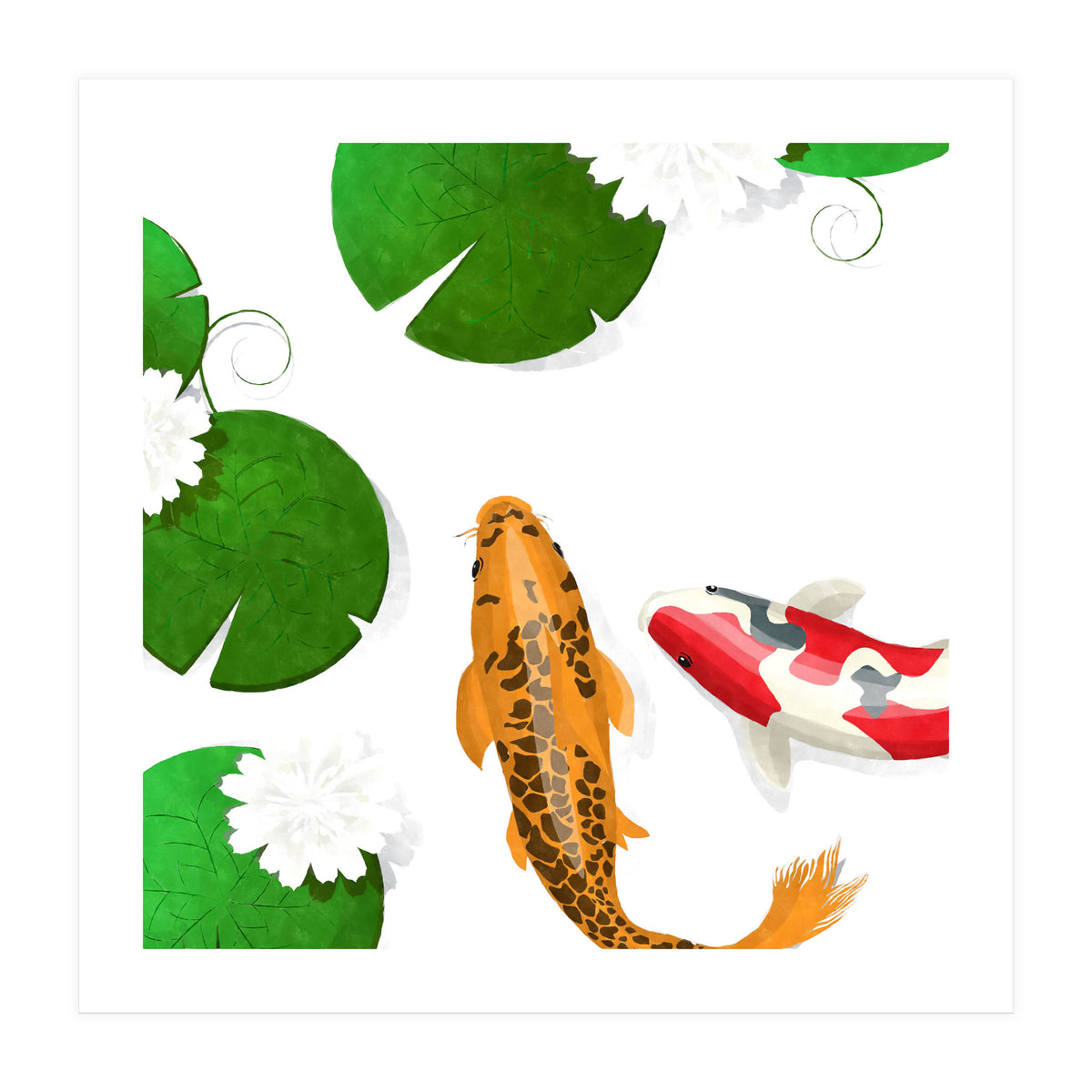 Koi fish background (Print Only)