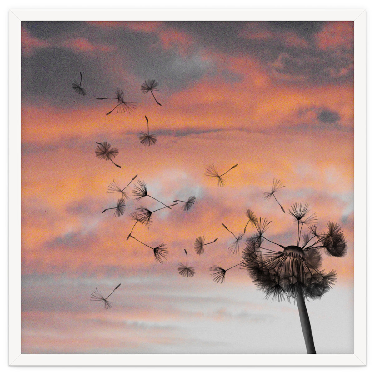 And The Days Went By