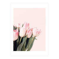 Pink Tulips (Print Only)