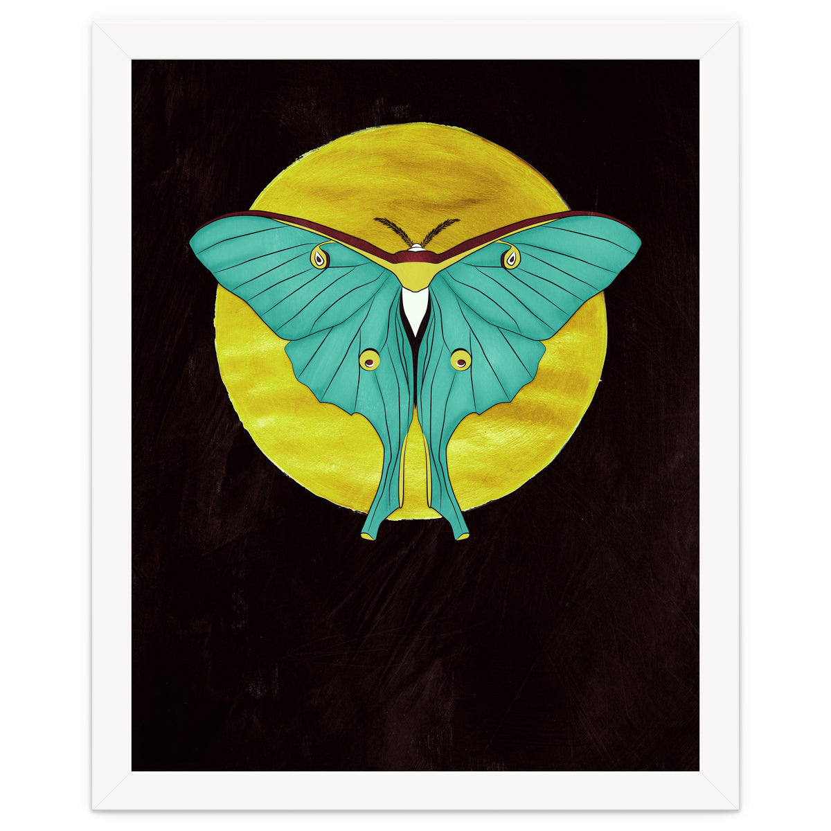 Luna Moth Moon