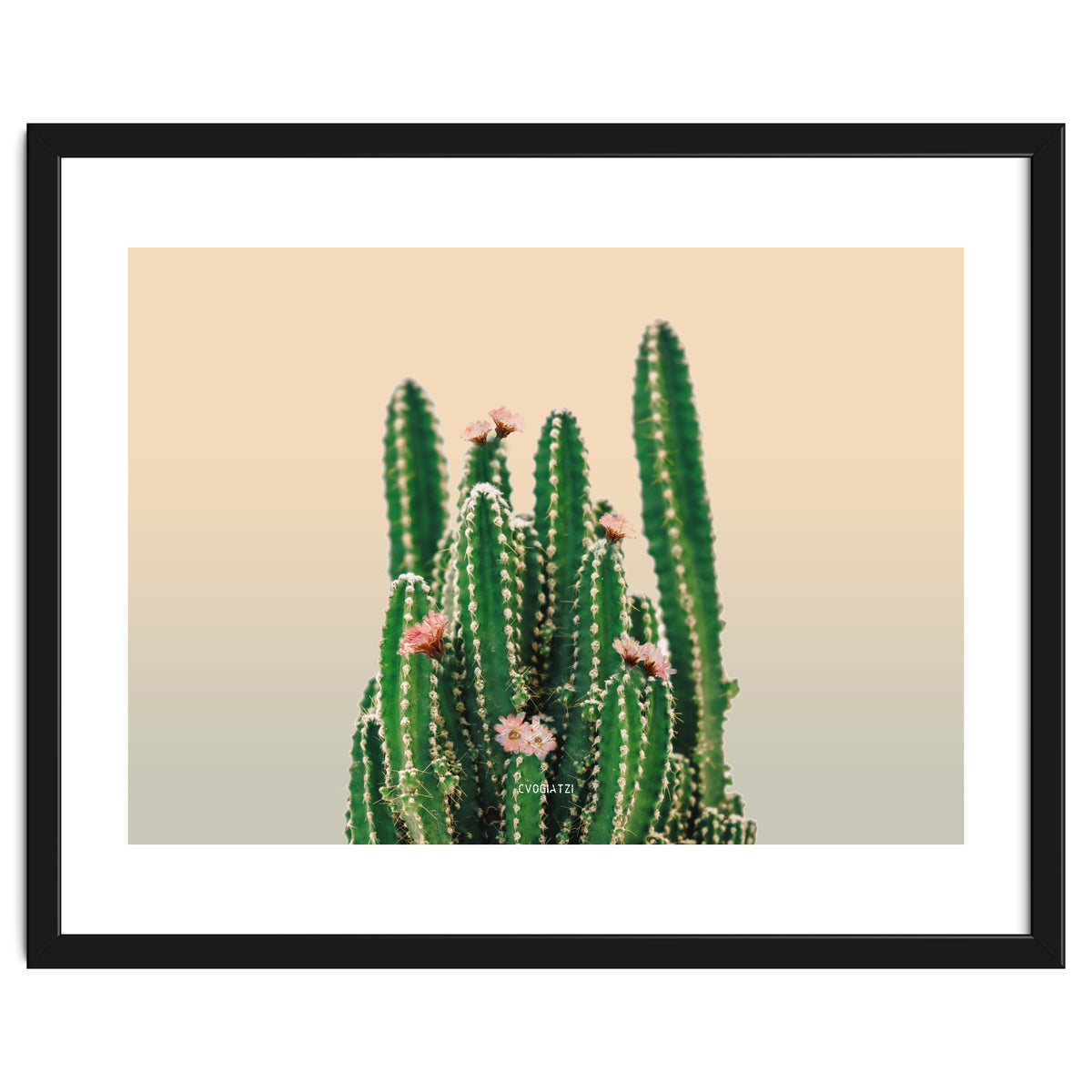Flowered Cactus
