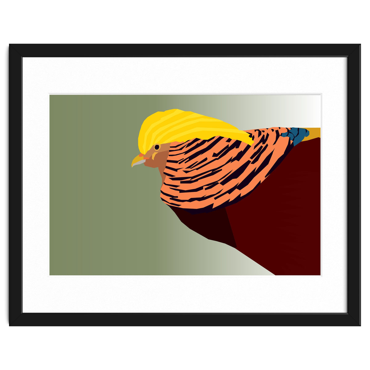 Golden Pheasant Bird Art