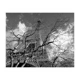 Eiffel Tower, Paris (Print Only) thumbnail