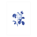 Blue Botanic I (Print Only) thumbnail