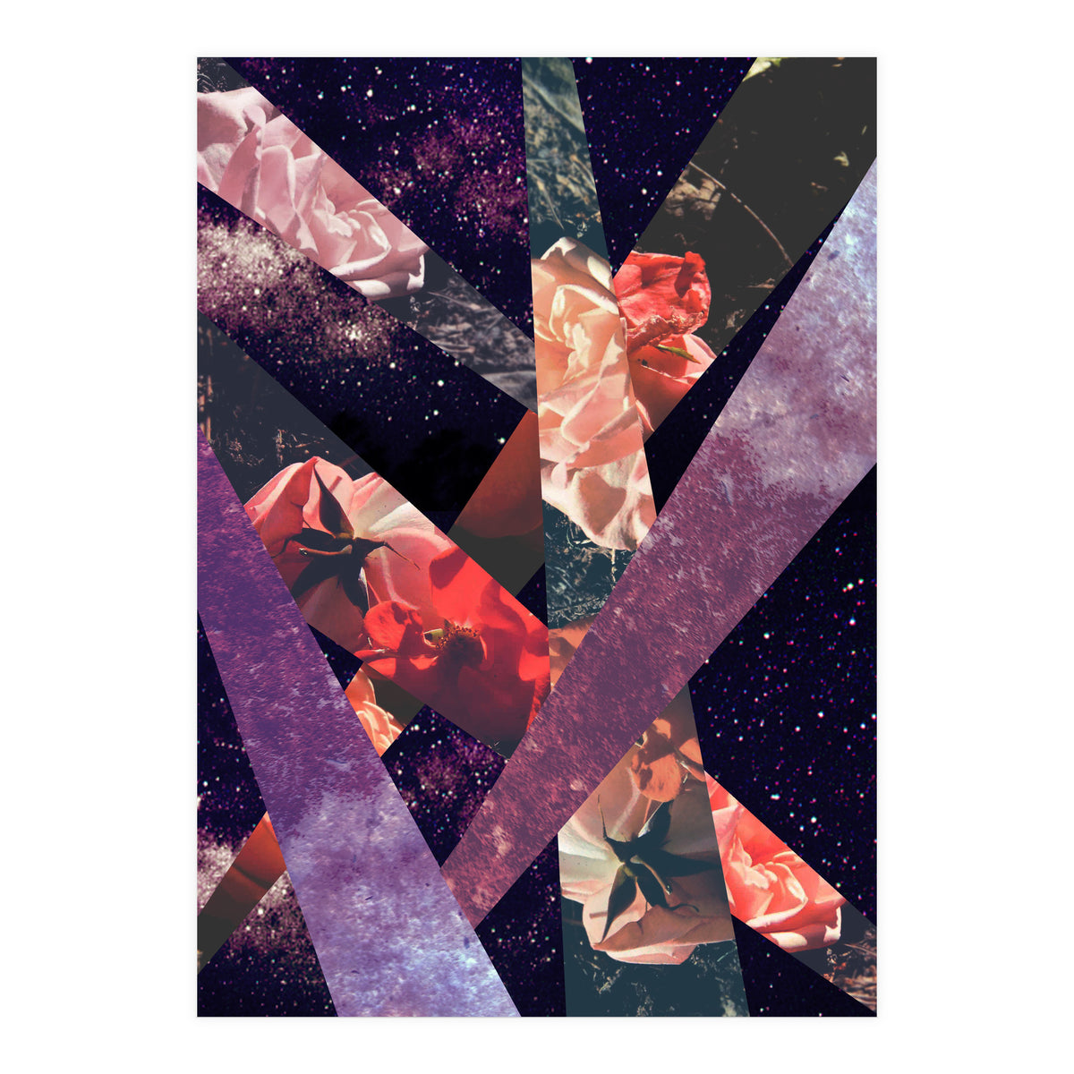 Roses In The Galaxy (Print Only)