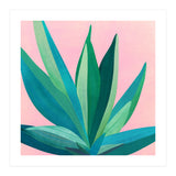 Southwest Agave (Print Only) thumbnail