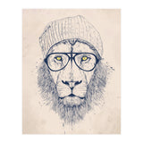 Cool Lion (Print Only) thumbnail