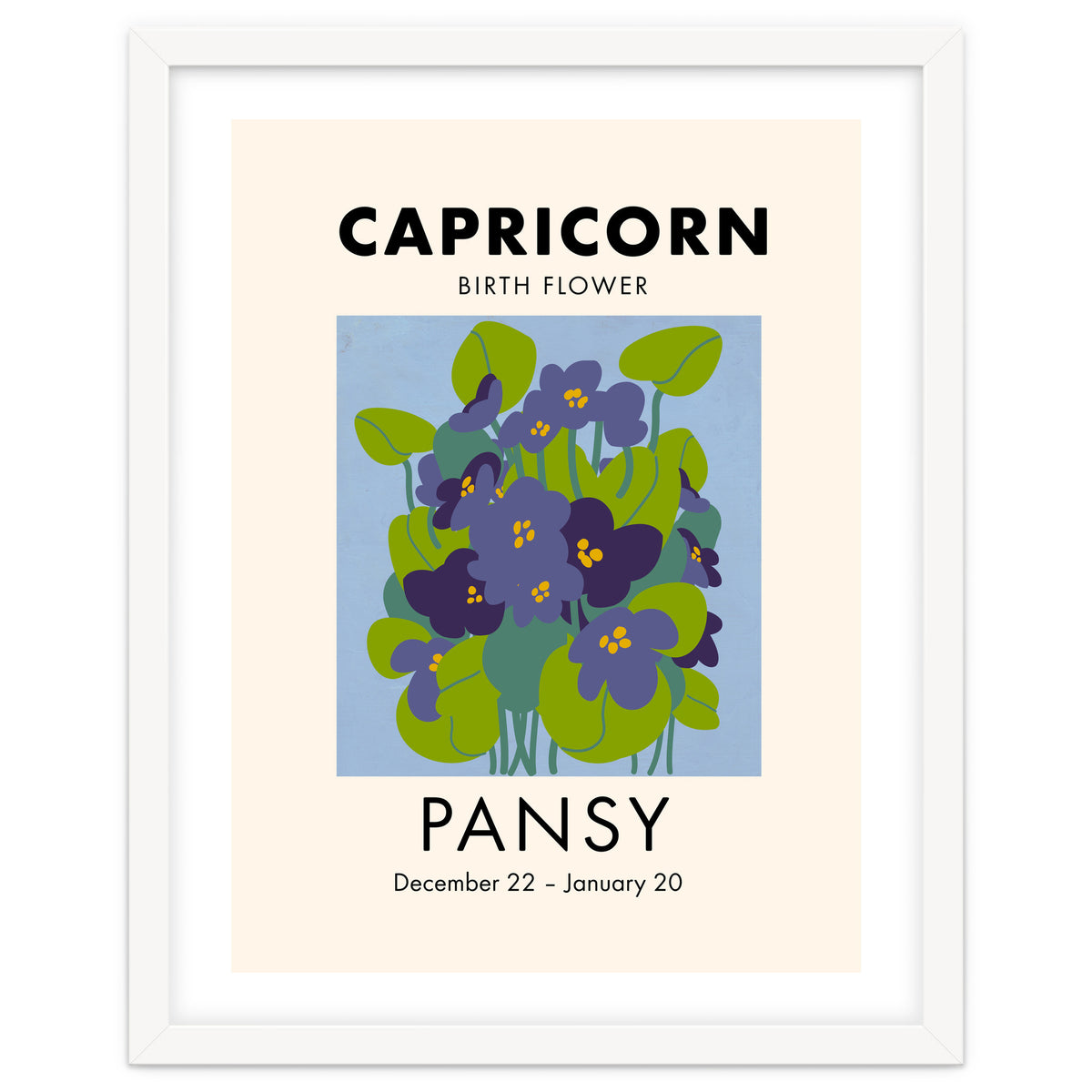 Capricorn Birth Flower Pansy