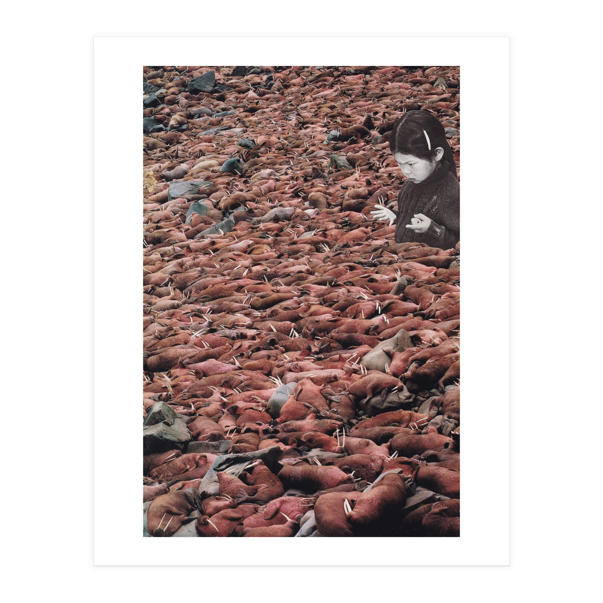 Counting Walrus (Print Only)