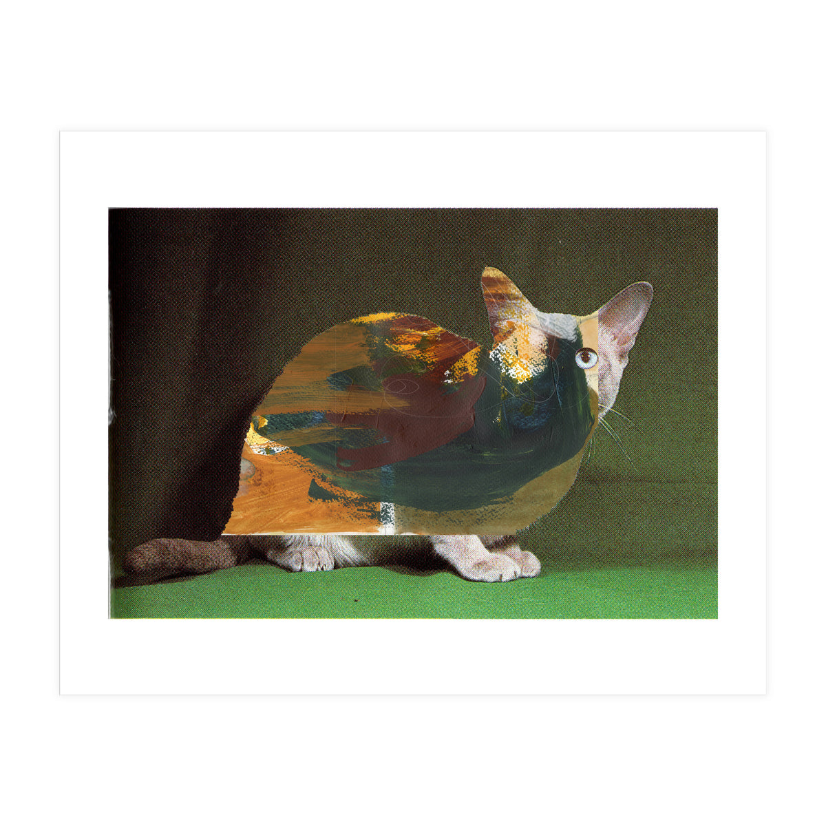 Color Cat (Print Only)