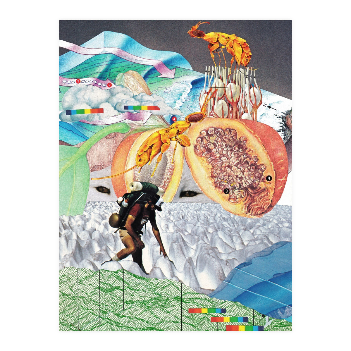 Wonderland (Print Only)