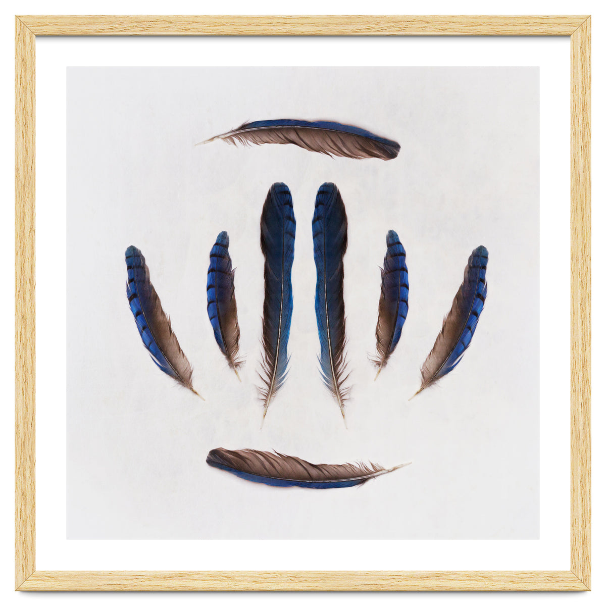 Forgive Me For Forgetting