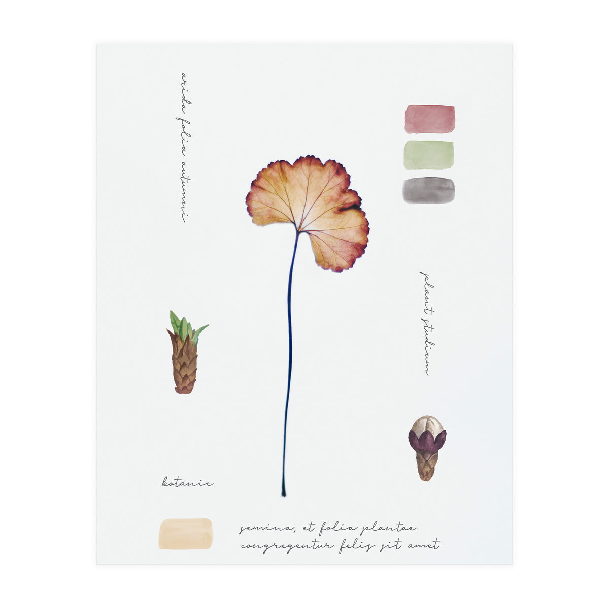 Botanical Notes (Print Only)