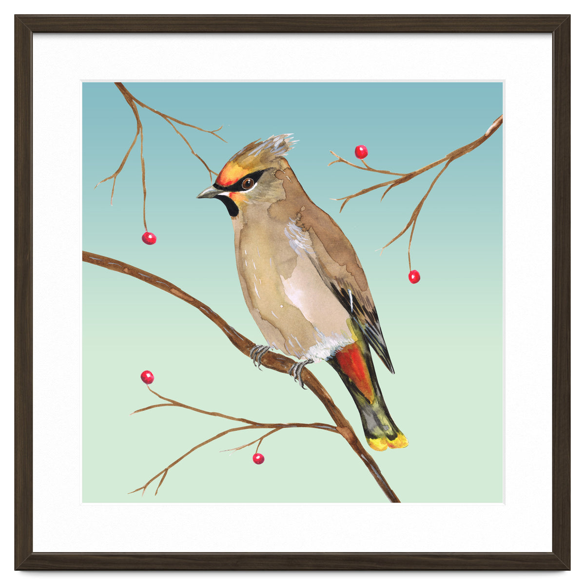 Bohemian waxwing