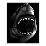 Megalodon (Print Only) thumbnail