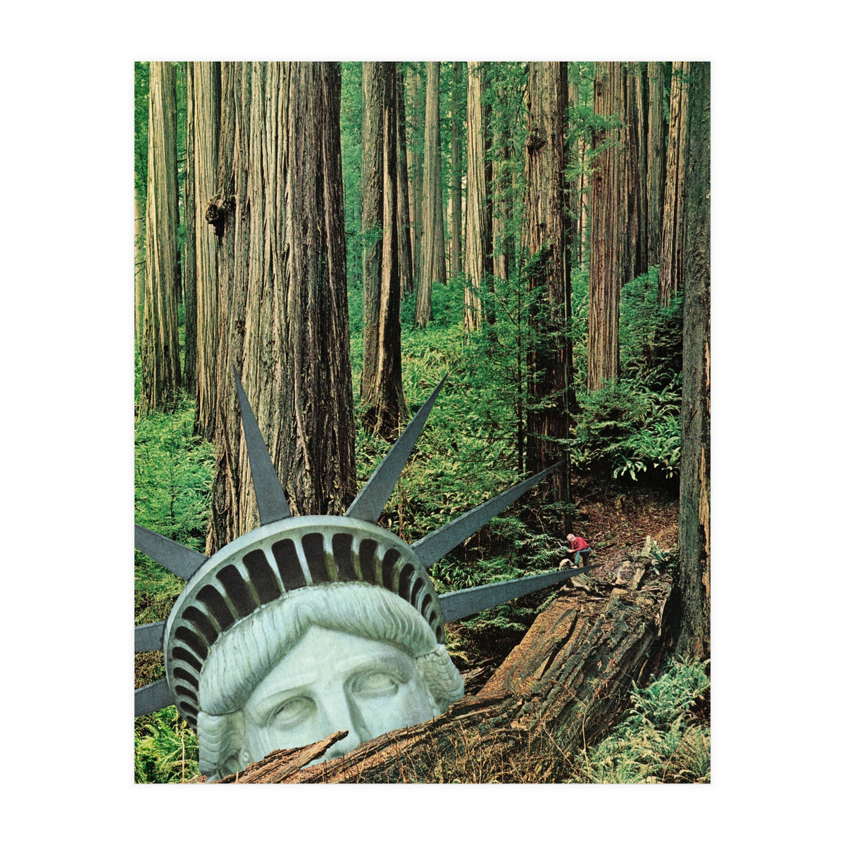 Multiverse (Print Only)