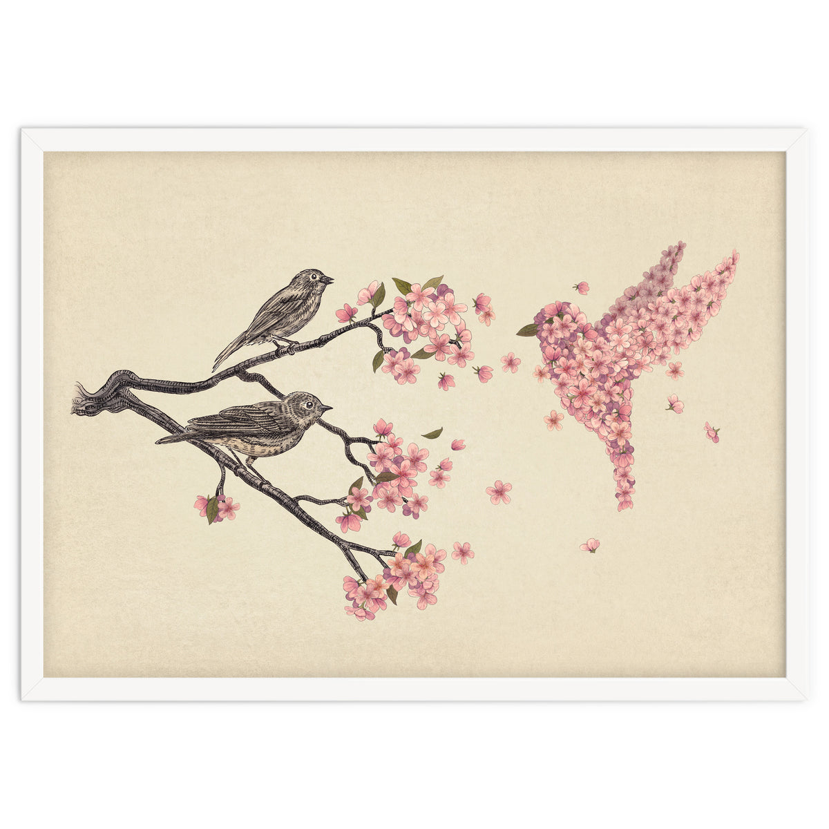 Blossom Bird