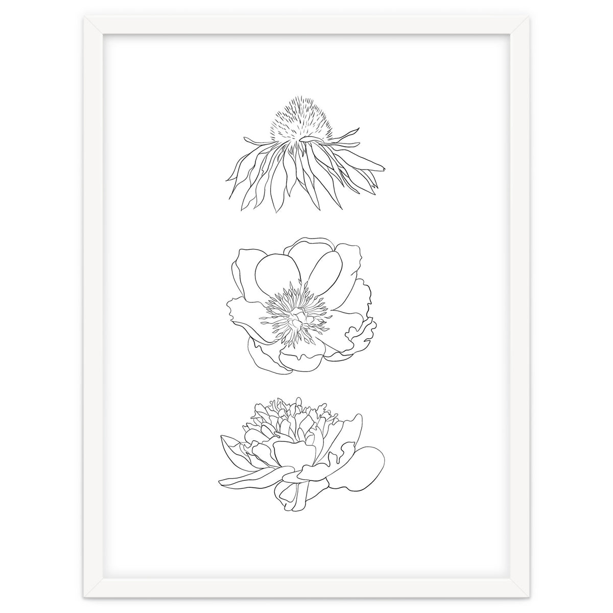 Hand Drawn Flowers