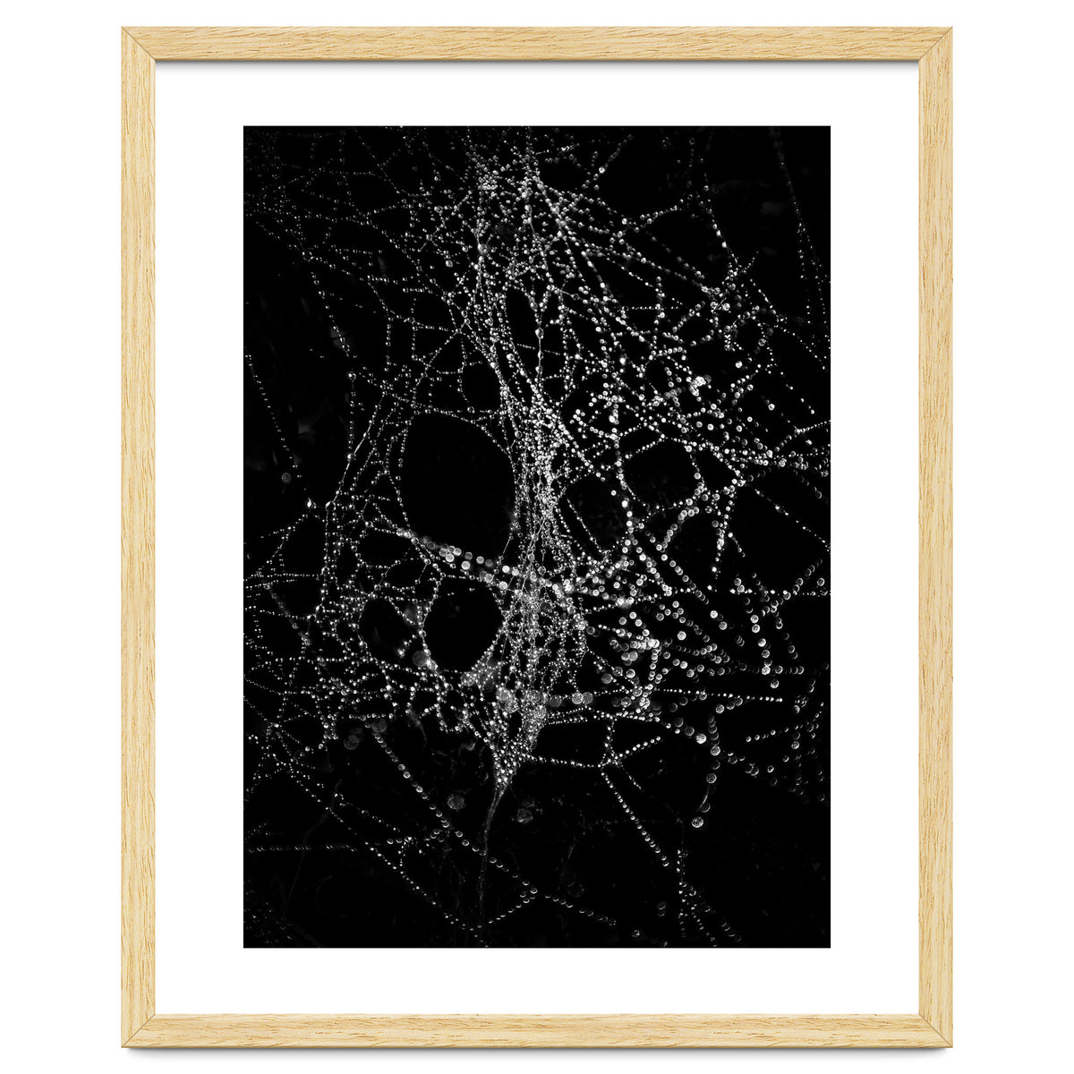 Spiderweb No 4