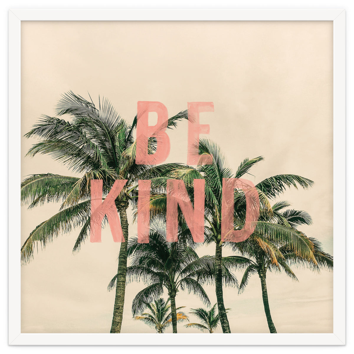 Be Kind Palm