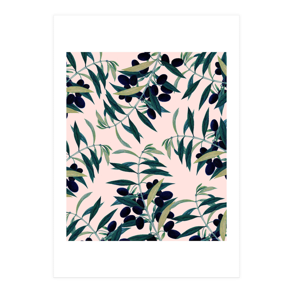 Olive Branch Pattern (Print Only)