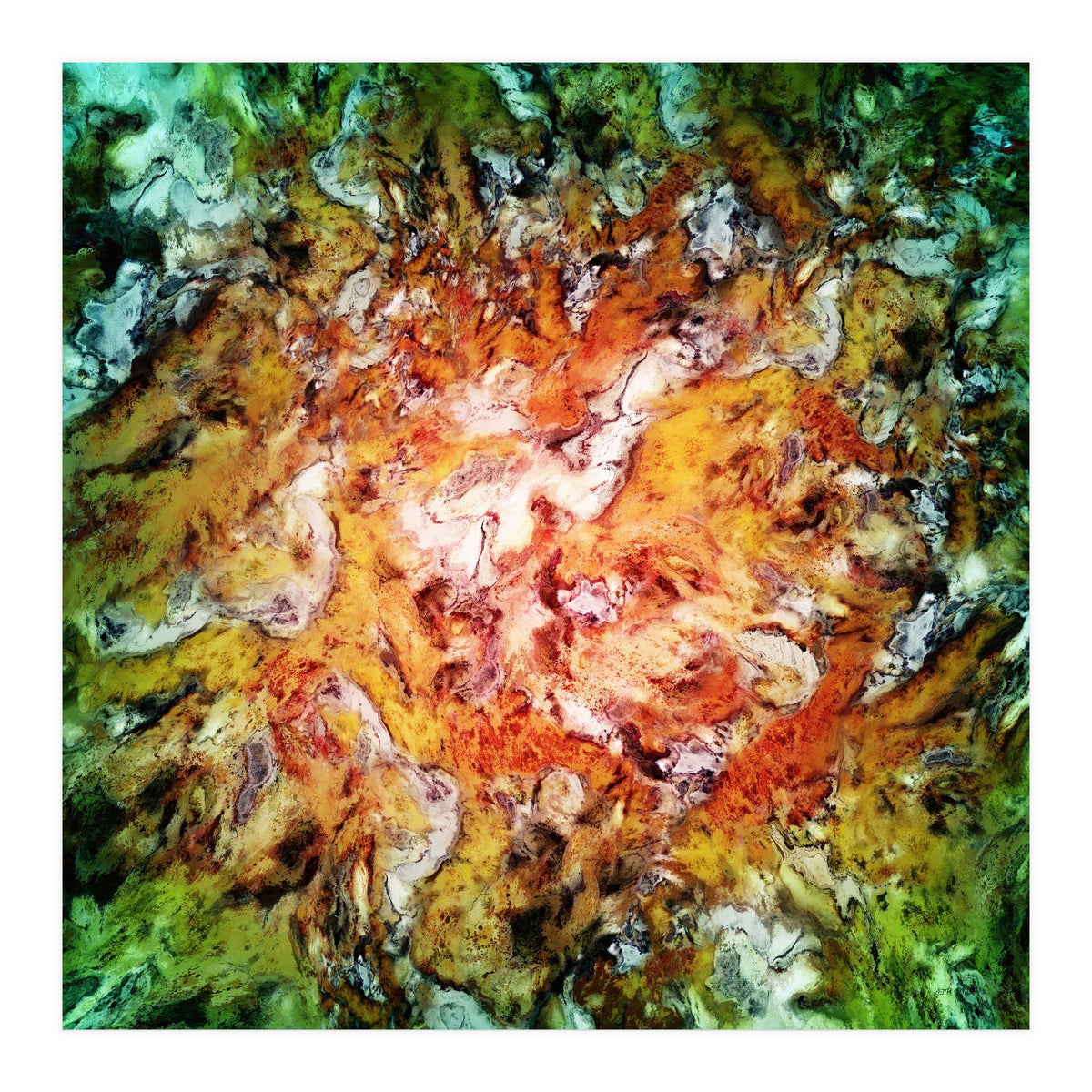 The Natural Light (Print Only)