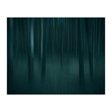 transience  (Print Only) thumbnail