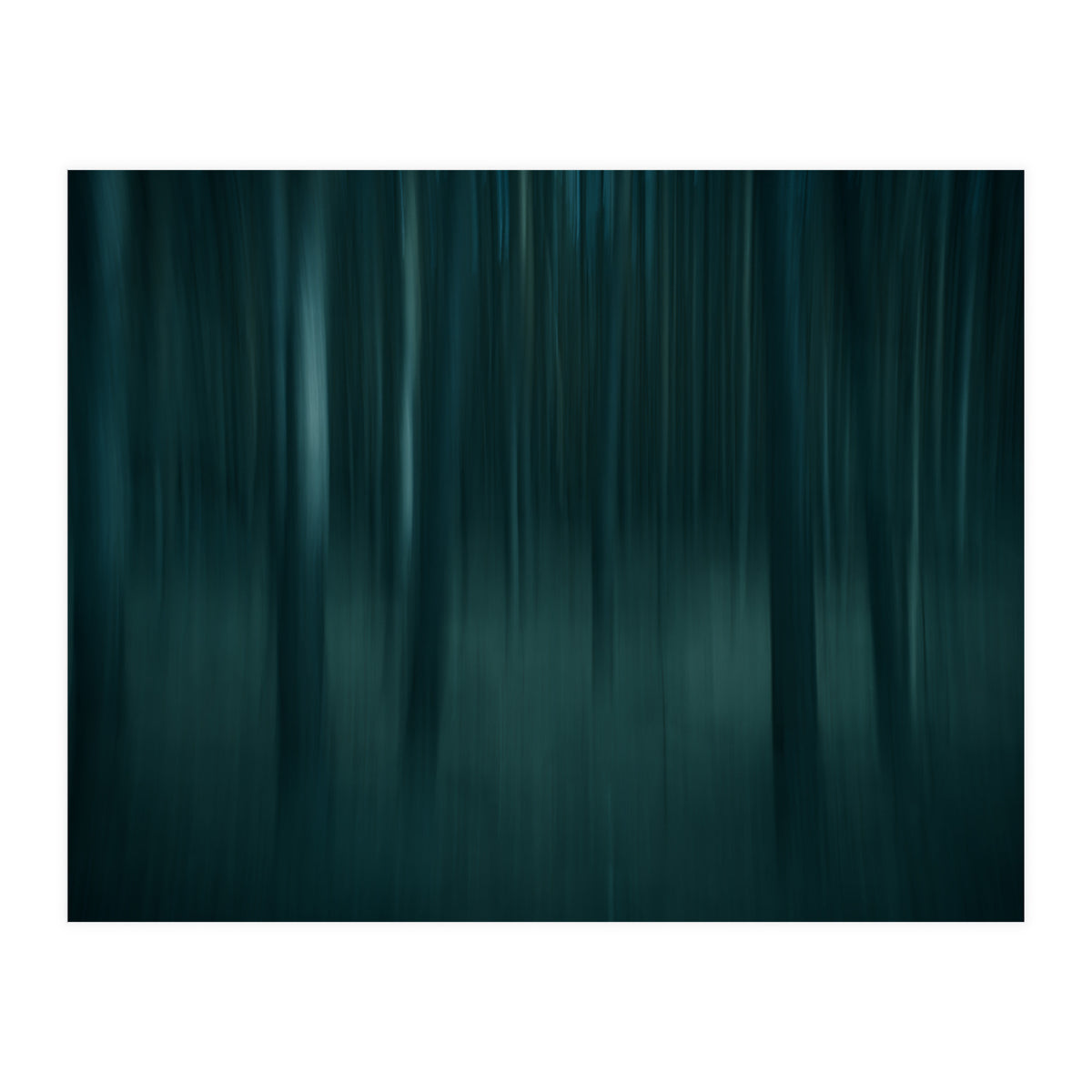 transience  (Print Only)