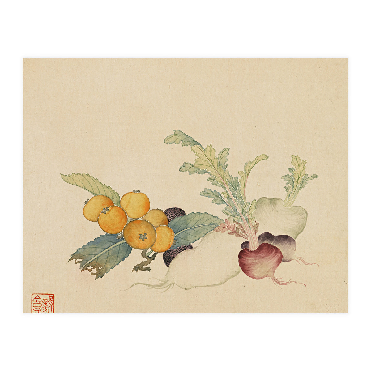 Wang Chengpi~flowers And Vegetables, Vegetables, Fruits, Loquat, White Radish, Carrot, Radish (Print Only)