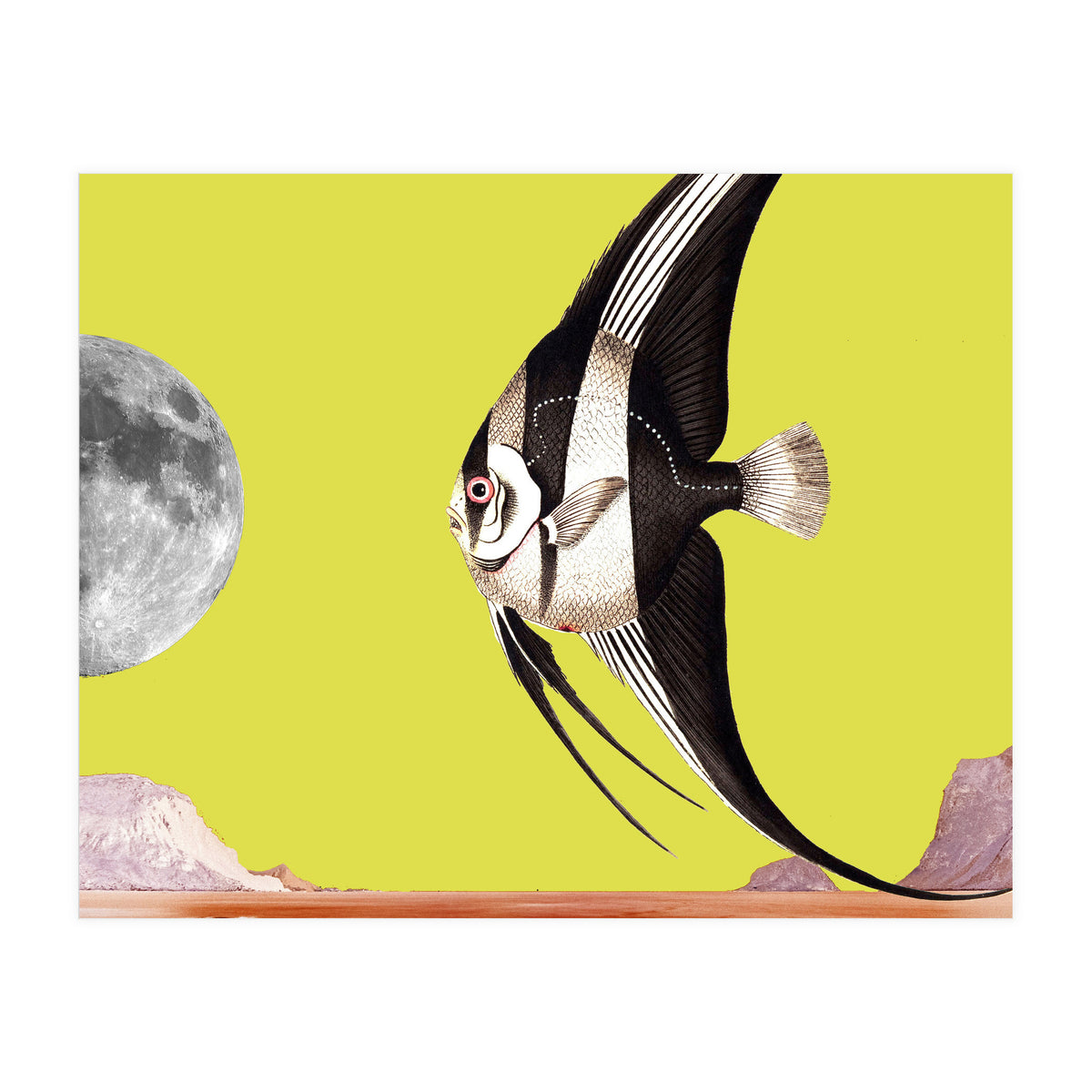 Plenty of fish in the sea yellow (Print Only)