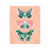 Lepidoptery No. 3 (Print Only) thumbnail