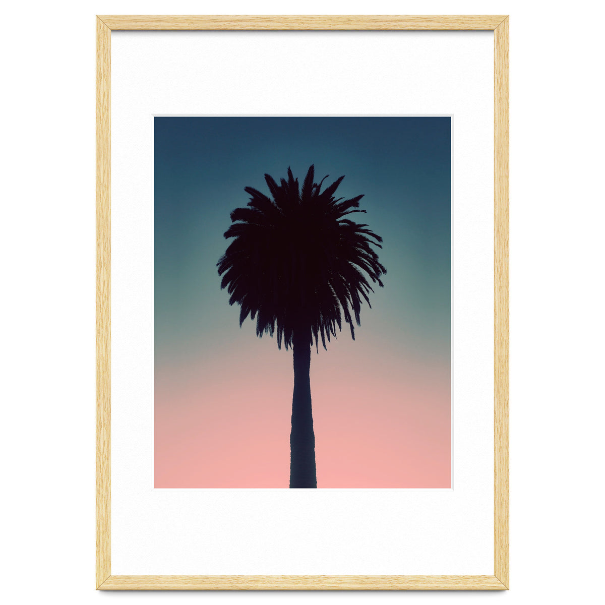 Sundown Palm