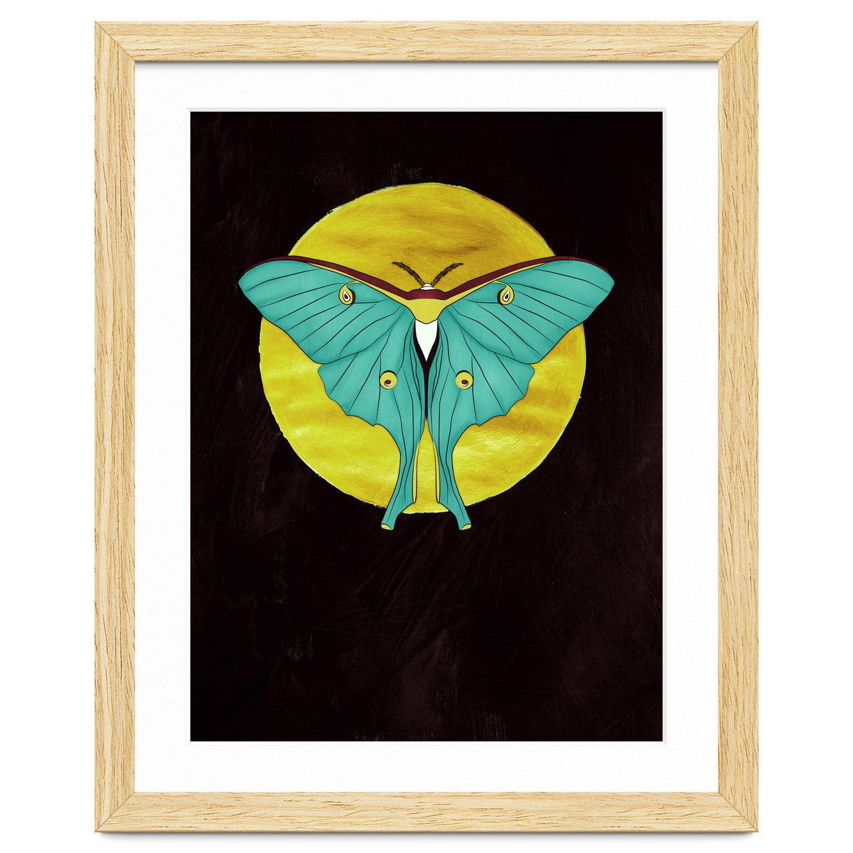 Luna Moth Moon