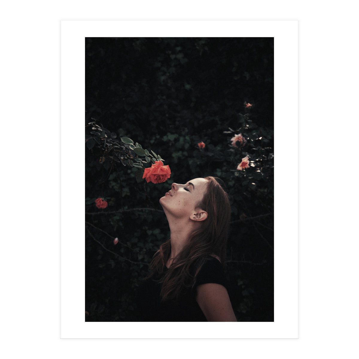 Kss Kss Meow Meow (Print Only)