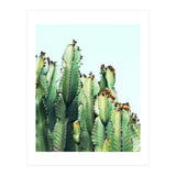 Cactus Love (Print Only) thumbnail