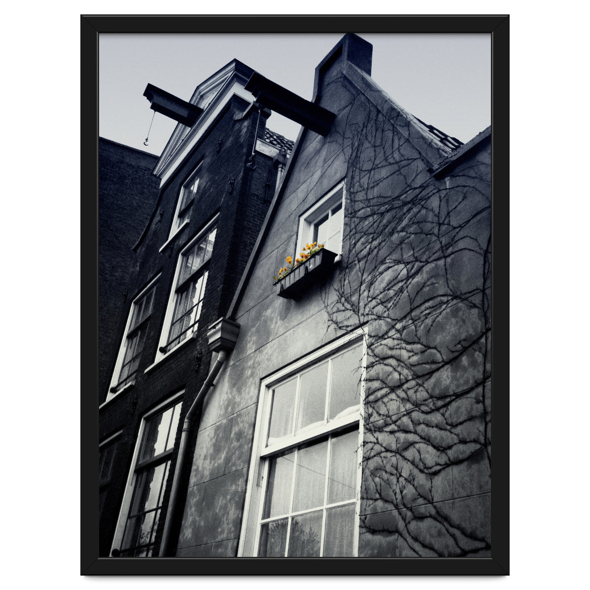 Amsterdam. House With Yellow Flowers.