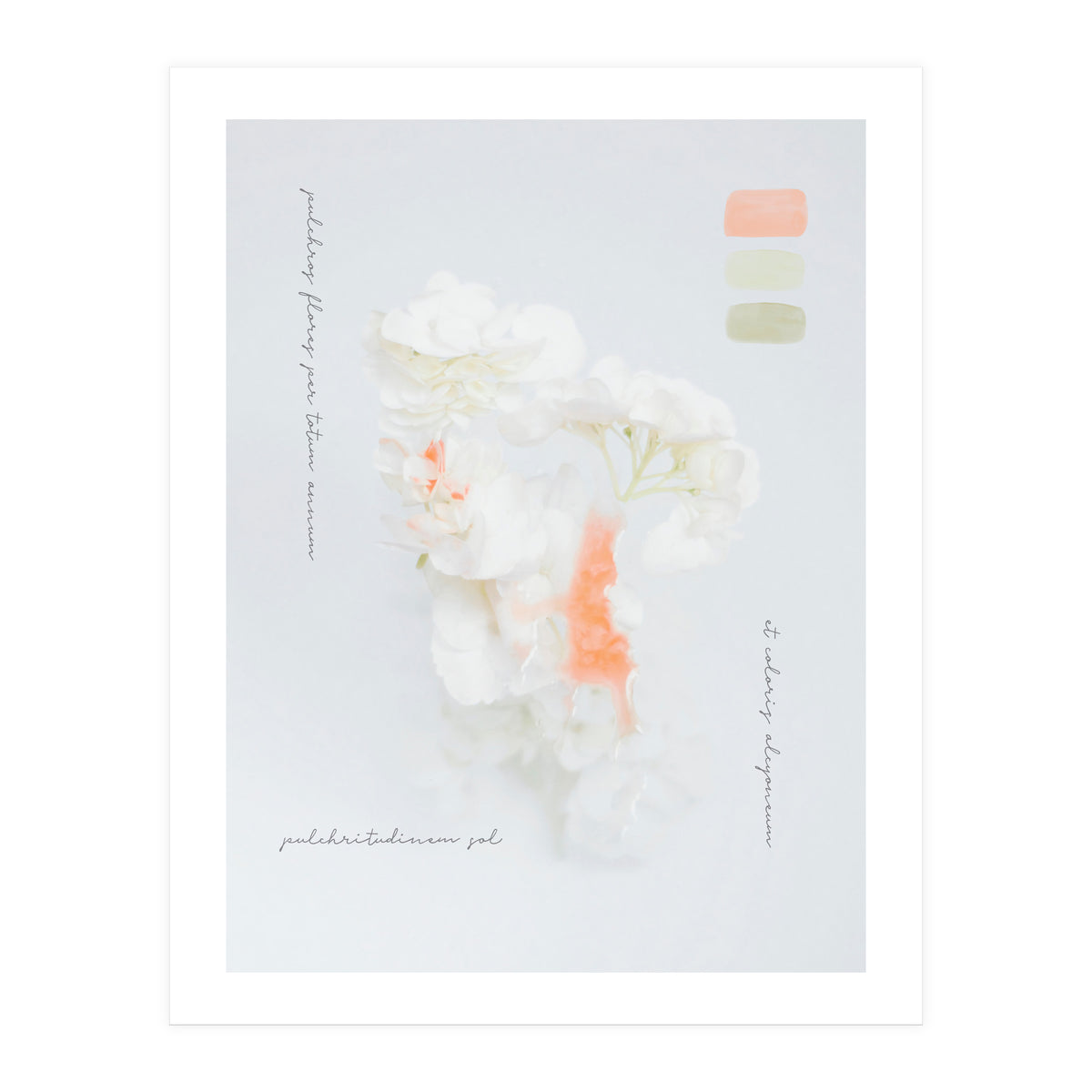 Modern Vintage Botanic (Print Only)