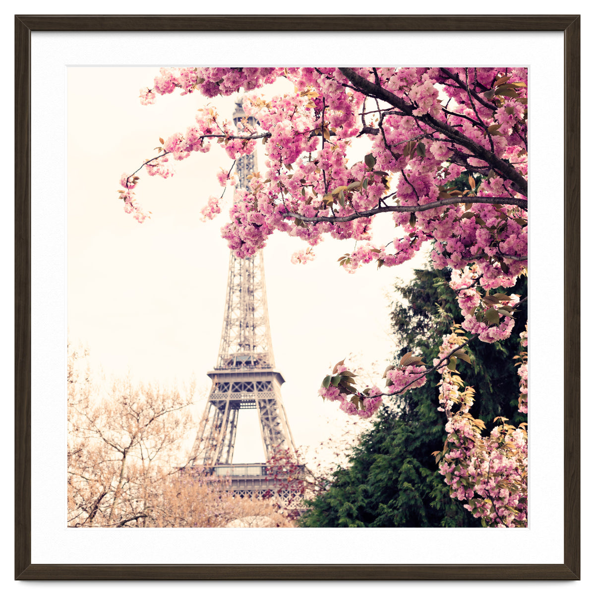 Paris in the Spring