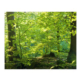 Spring Forrest (Print Only) thumbnail