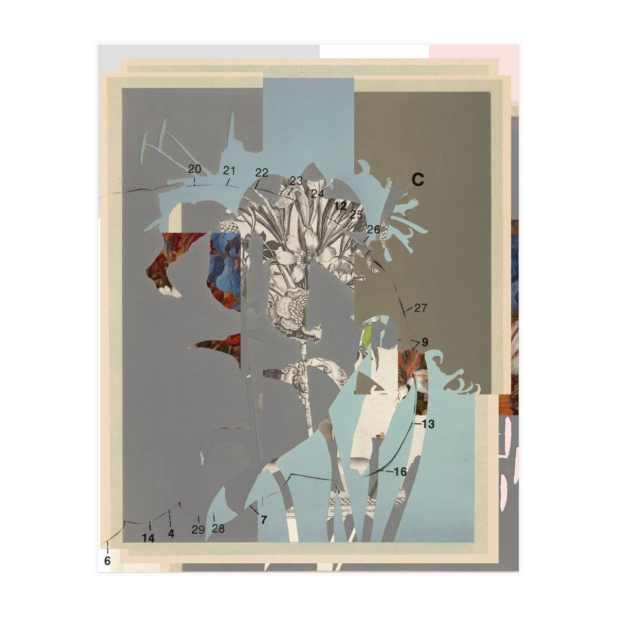 The First Plant · D (Print Only)