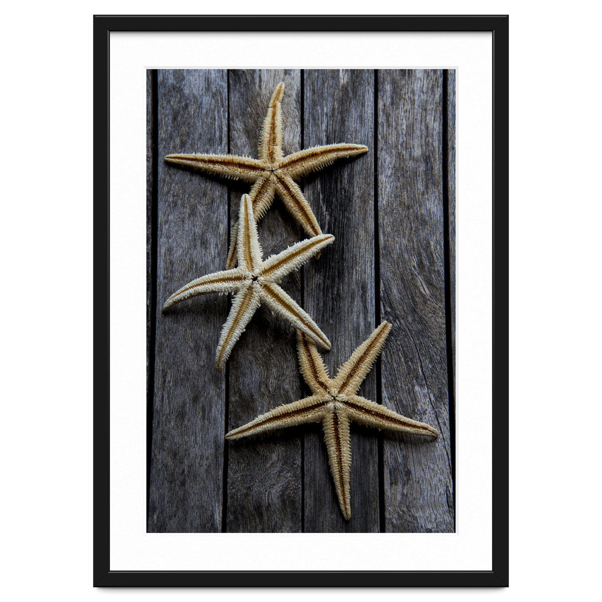 Starfishes in wooden