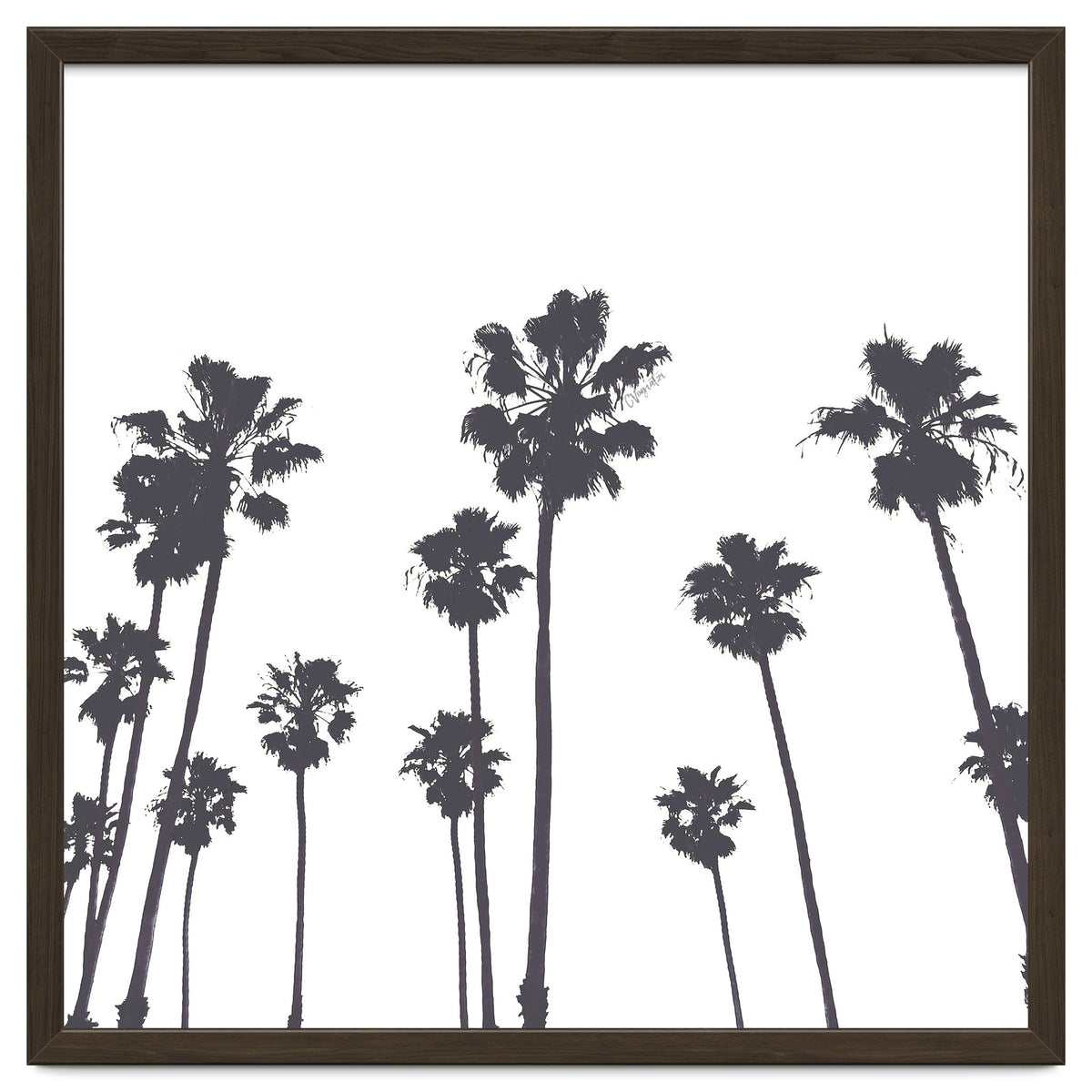 Palms & Sunset-Minimal B&W